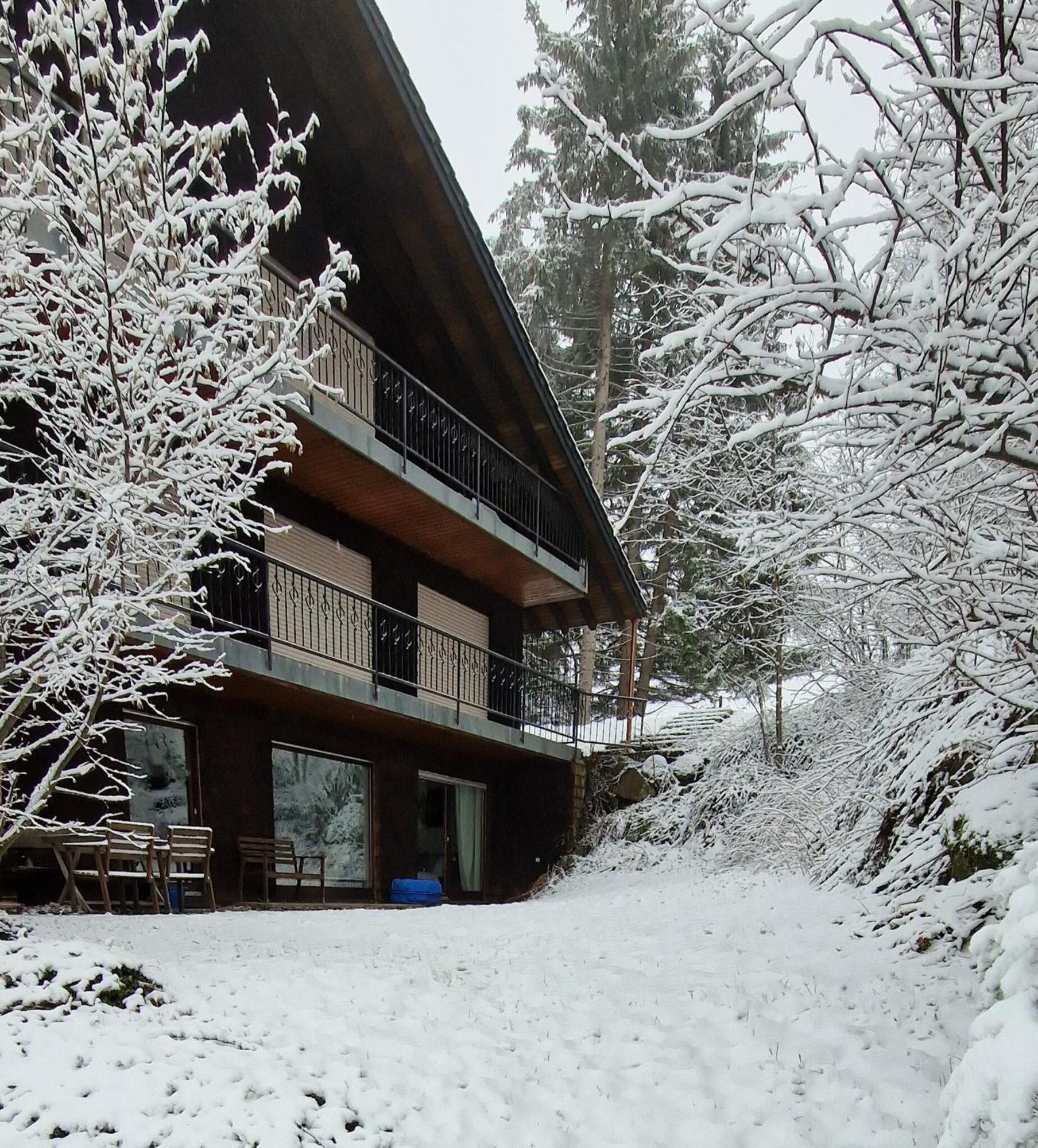 Ferienwohnung In Schoenwald Schwarzwald Exterior foto
